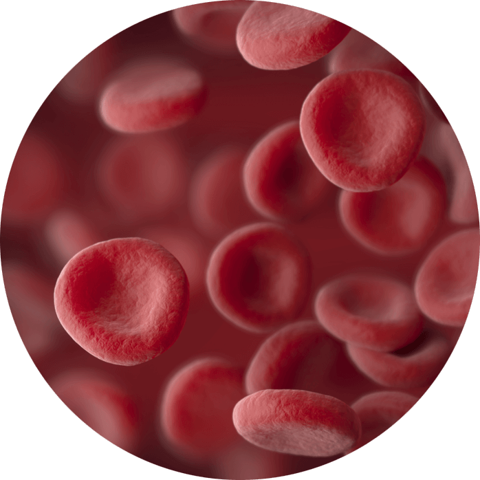 blood cells